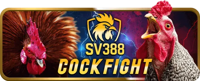 Hướng dẫn nạp rút tiền 55vin casino